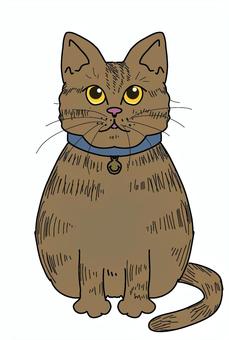 Illustration, gato, animal, mascota, 