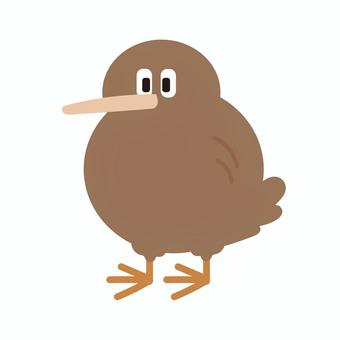 キウイ/キーウィのイラスト キーウィ,キウイ,鳥,国鳥,ニュージーランド,茶色,かわいい,ベクターのイラスト素材