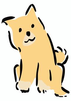 首をかしげる柴犬 柴犬,犬,首,疑問,かわいい,わんこ,ペット,動物,シンプル,手描き風のイラスト素材