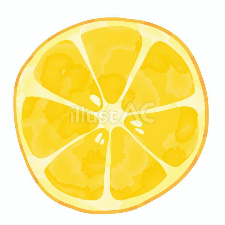 水彩画のレモンの輪切り 水彩画,レモン,輪切りのイラスト素材