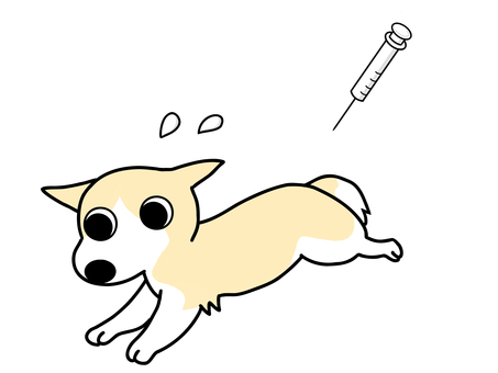 Dog running away from injection, JPG and PNG Dog running away from injection, dog, injection, vaccination, JPG and PNG