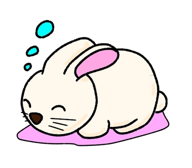 Illustration, rabbit, snooze, a feather, 