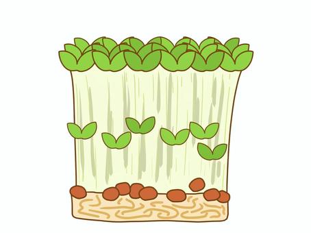 豆苗アイコン 野菜,豆苗,かわいい,アイコン,シンプル,手描き,ベタ塗り,食べ物,季節,旬のイラスト素材