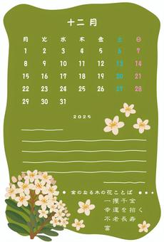 はがきカレンダー2025_12和 12月,カレンダー,暦,金のなる木,2025,ハガキ,ポストカード,花,木,お便りのイラスト素材