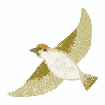 スズメ B スズメ,シンプル,鳥,かわいい,田園,茶色のイラスト素材