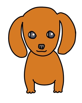 ダックスフンドレッド ダックスフンドレッド 犬,動物,ペット,かわいい,デフォルメ,わんこ,キャラクター,毛色,手描き,ダックスフンドのイラスト素材