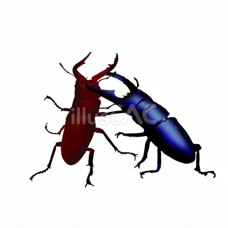 戦うクワガタムシ クワガタムシ,ノコギリクワガタ,ヒラタクワガタのイラスト素材