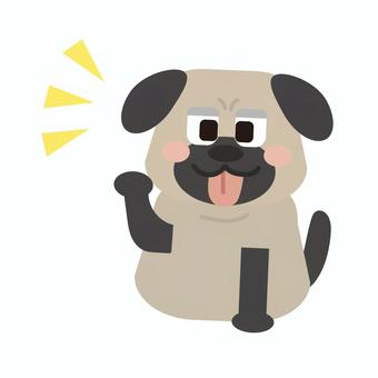ひらめき/気づくアクション（パグ） 動物,生き物,ひらめき,気づき,犬,パグ,ペット,アクション,ポーズ,かわいいのイラスト素材