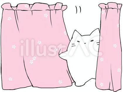カーテン開くねこ