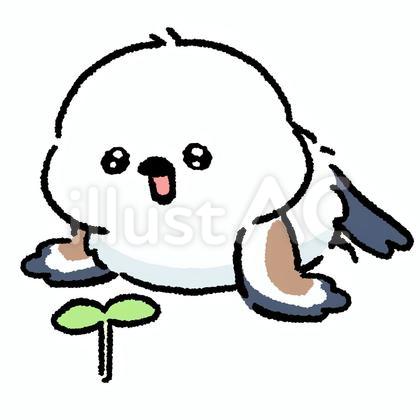 シマエナガ_植物を見る_01