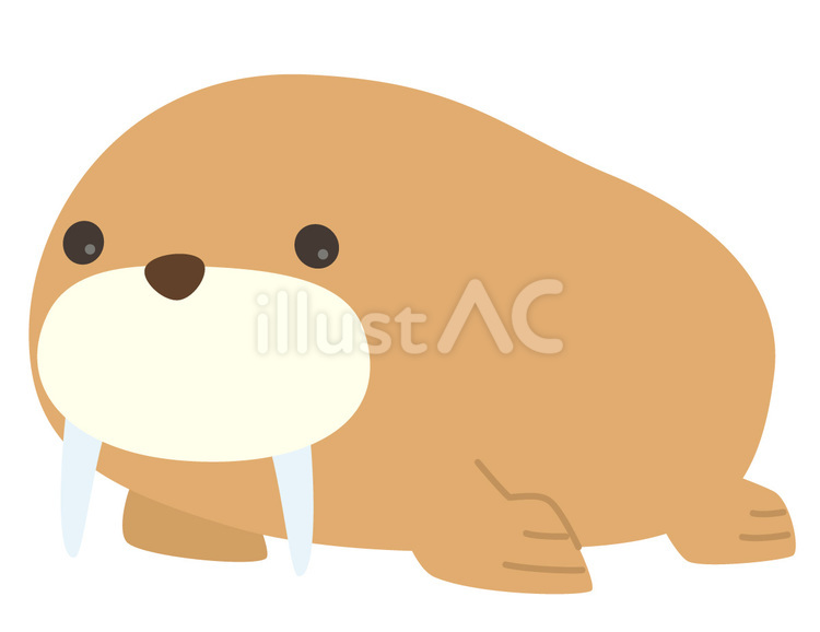 セイウチ セイウチ,茶色,かわいいのイラスト素材