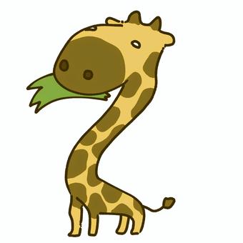 草を食べるキリン キリン,動物,生き物,草,食べる,食事のイラスト素材