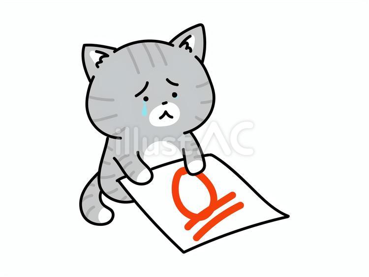 赤点をとって落ち込む猫ちゃん ねこ,赤点,勉強のイラスト素材