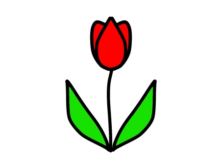 Tulips, JPG Tulips, tulip, flower, spring, JPG