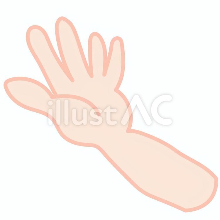 手のひら 手のひら,手,ハンドのイラスト素材
