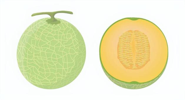 半分に切ったメロン3 メロン,半分,カット,断面,果物,デザート,夏,贈り物,甘い,黄緑のイラスト素材