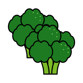ブロッコリー ブロッコリー,２株,緑,黄緑,野菜,花蕾,茎のイラスト素材