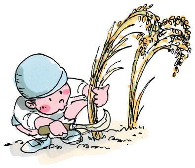 水彩稲刈り 稲刈り,園児,鎌,子ども,田んぼ,お米,harvesting,riceのイラスト素材