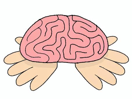 脳を大切にする手 脳,手,守る,大切,pop調,手描き,挿絵,ワンポイント,素材,商用可のイラスト素材