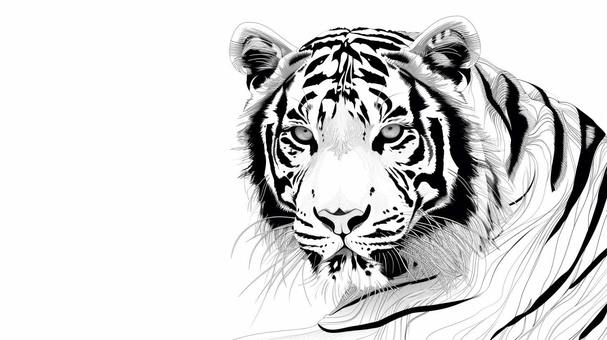 tiger background, , JPG