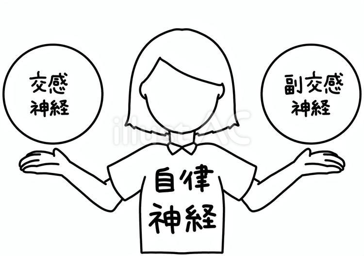 交感神経と副交感神経を持つ女性　線画 交感神経,副交感神経,女性のイラスト素材