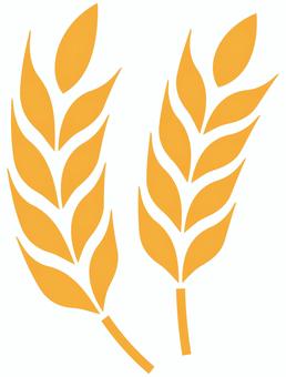 麦のアイコン オレンジ 麦,穀物,大麦,小麦,植物,葉,稲穂,農業,オーガニック,食べ物のイラスト素材