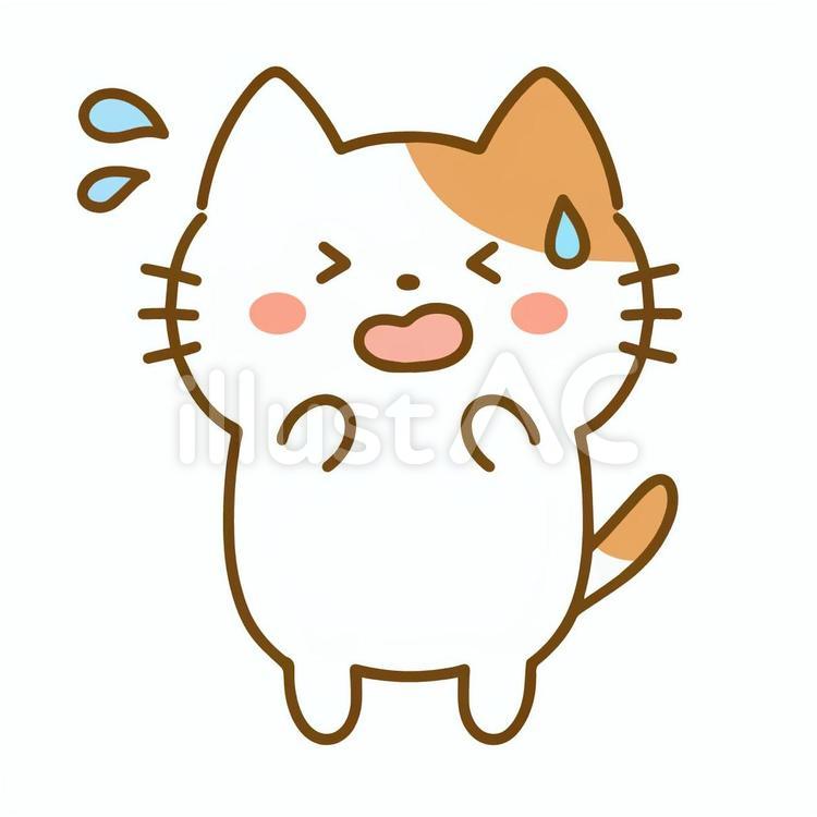 冷や汗をかいて困った猫2 猫,動物,冷や汗のイラスト素材