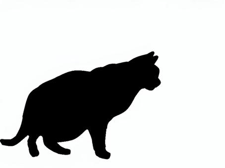 猫。。 猫,シルエット,動物,背景透過,黒猫,イラスト,素材,透過png,アイコン,ペットのイラスト素材