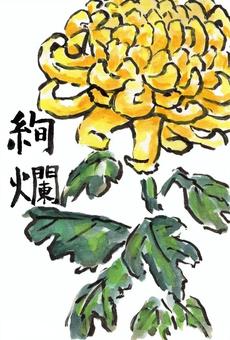 菊絢爛に 菊絢爛に 菊,黄色,キク科,花びら,花弁,顔彩画,絵手紙のイラスト素材