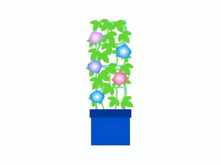 朝顔の栽培キット 朝顔の栽培キット アサガオ,花,植物,風物詩,夏,プランター,葉っぱ,育てる,植える,アイコンのイラスト素材