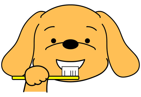 歯を磨く犬 犬,ペット,ミニチュアダックスフンド,ビーグル,ゴールデンレトリバー,垂れ耳,笑顔,口,顔,歯ブラシのイラスト素材