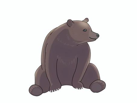 ヒグマ（座る）