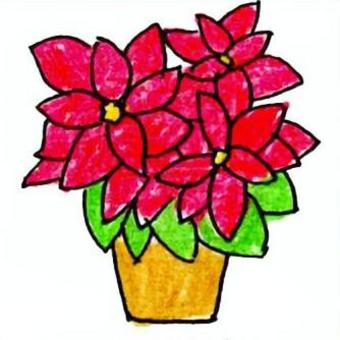 ポインセチアの手描きイラスト クリスマス,クリスマスシーズン,植物,鉢植え,12月,冬,イラスト,手描きのイラスト素材