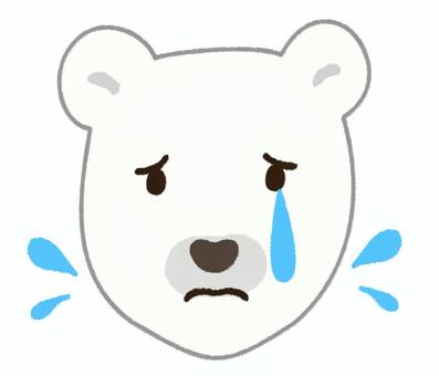悲しそうに涙を流している可愛い白熊の顔 白熊,顔,泣く,動物,動物園,かわいい,表情,悲しい,涙,落ち込むのイラスト素材