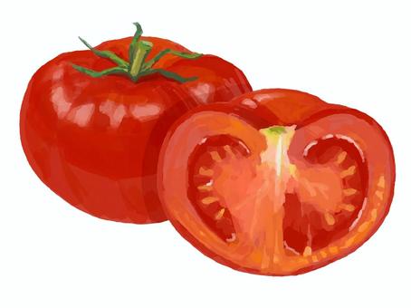 リアルすぎないトマト 食べ物,野菜,トマト,半分,断面,カット,緑黄色野菜,2分の1,夏野菜のイラスト素材