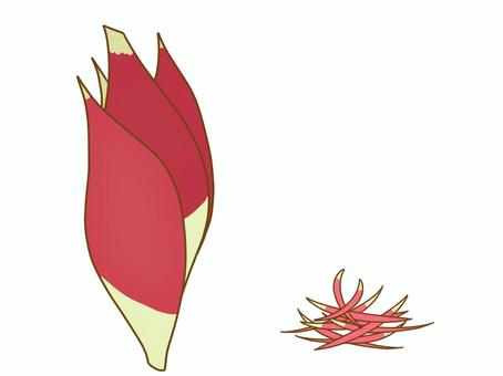 みょうがアイコン(千切り) みょうがアイコン(千切り) 野菜,みょうが,薬味,香味野菜,かわいい,アイコン,シンプル,手描き,ベタ塗り,食べ物のイラスト素材