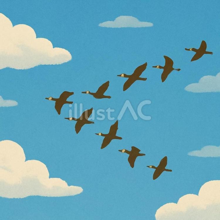 秋の空と渡り鳥（V字飛行） 渡り鳥,秋空,青空のイラスト素材