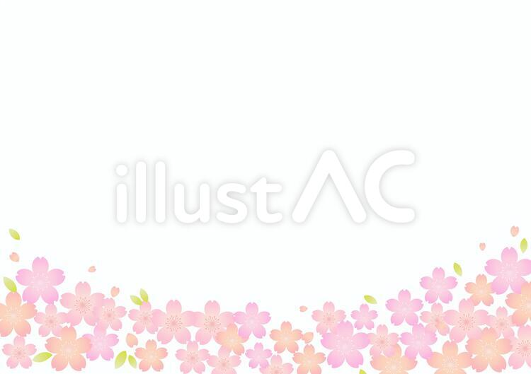 桜素材209 フレーム,桜,春のイラスト素材