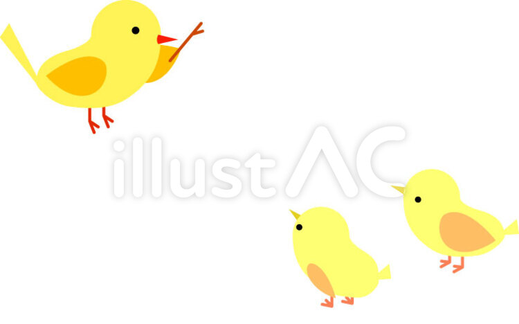 鳥の学校 鳥,学校,先生のイラスト素材