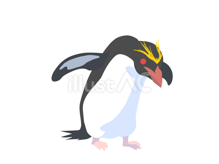 マカロニペンギン（覗き込む・主線なし） ペンギン,動物,鳥のイラスト素材