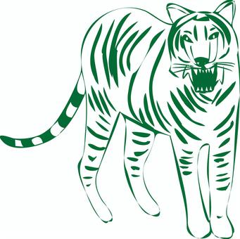虎吠える　 虎,ベンガルトラ,吠える,迫力,猛獣,動物園,インド,線画,緑のイラスト素材