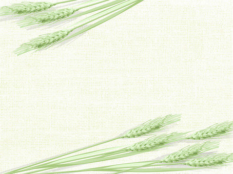 青々した緑の麦穂と麻布の背景　006 麦穂,青々,リアル,緑,ナチュラル,お洒落,自然,植物,大人っぽい,枠のイラスト素材
