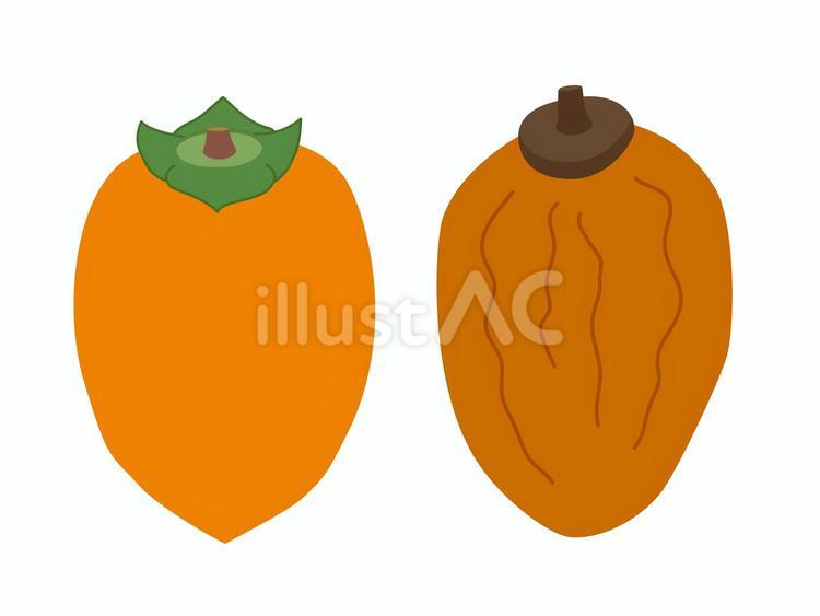 筆柿と干し柿 柿,筆柿,干し柿のイラスト素材
