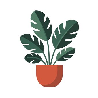 モンステラ モンステラ,観葉植物,植物,グリーン,ナチュラル,インテリア,フラットのイラスト素材