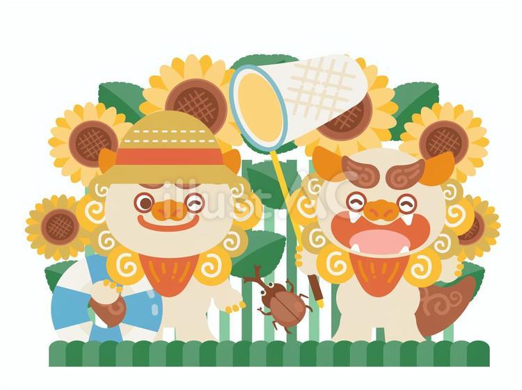 シーサーと夏遊び シーサー,夏,向日葵のイラスト素材