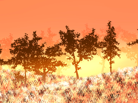 林　夕方 背景,グラデーション,光,林,秋のイラスト素材