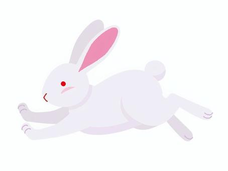 うさぎ　はねるうさぎ うさぎ,動物,白うさぎ,お月見,十五夜,干支,卯年,年賀状,イースター,ベクターのイラスト素材