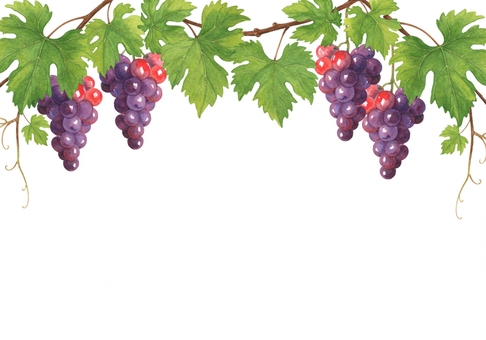 ぶどうのフレーム