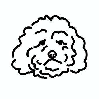 ボロニーズ ボロニーズ,プードル,超小型犬,小型犬,犬,ペット,白黒,モノクロ,線画,挿絵のイラスト素材