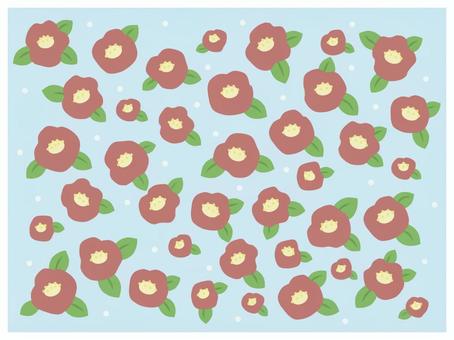 Illustration, camellia, plant, winter, 